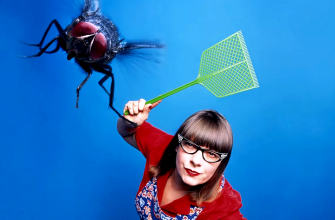 Как избавиться от мух и их личинок